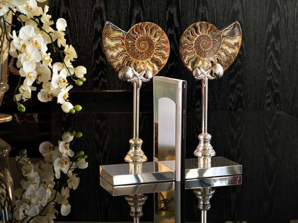 Bookends pair with fossil shell and nikel plated sea decoration and base
