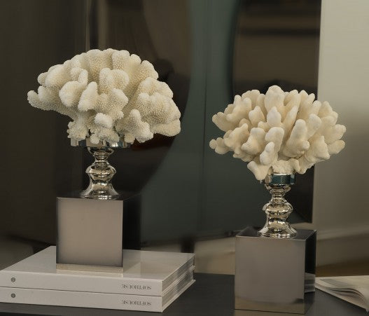 White coral on nickel plated brass base