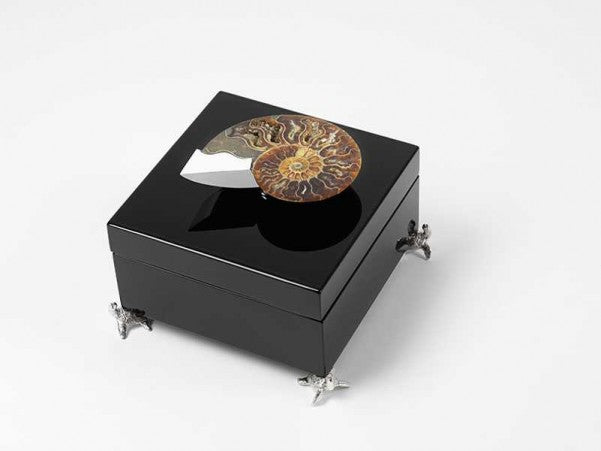 Black laquered wooden box with fossil shell and silver plated accessories