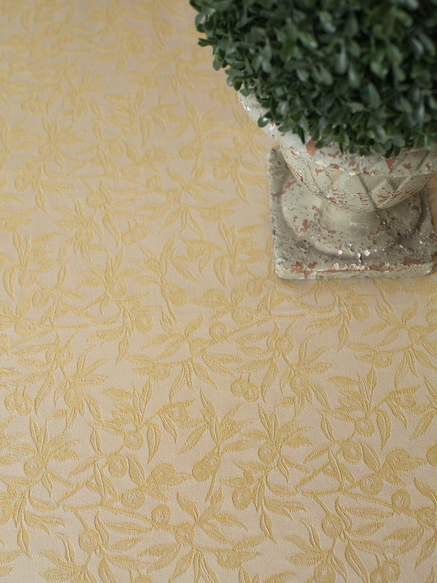 OLIVO SELVATICO - PLACEMAT