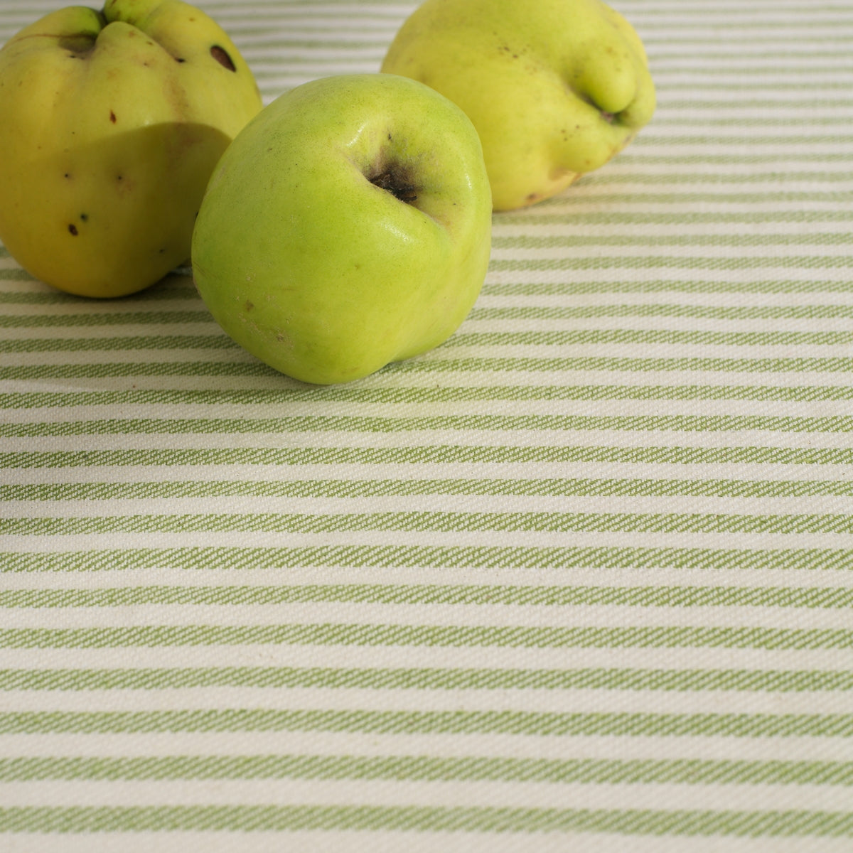 POMELO - FABRIC