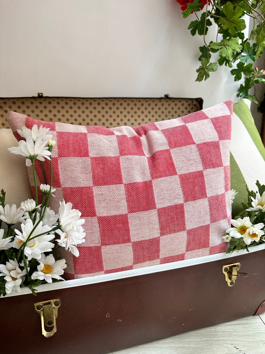 CUSHION - DAMONA