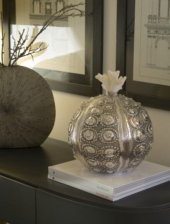 Sea urchin chiselled sterling silver box with white coral