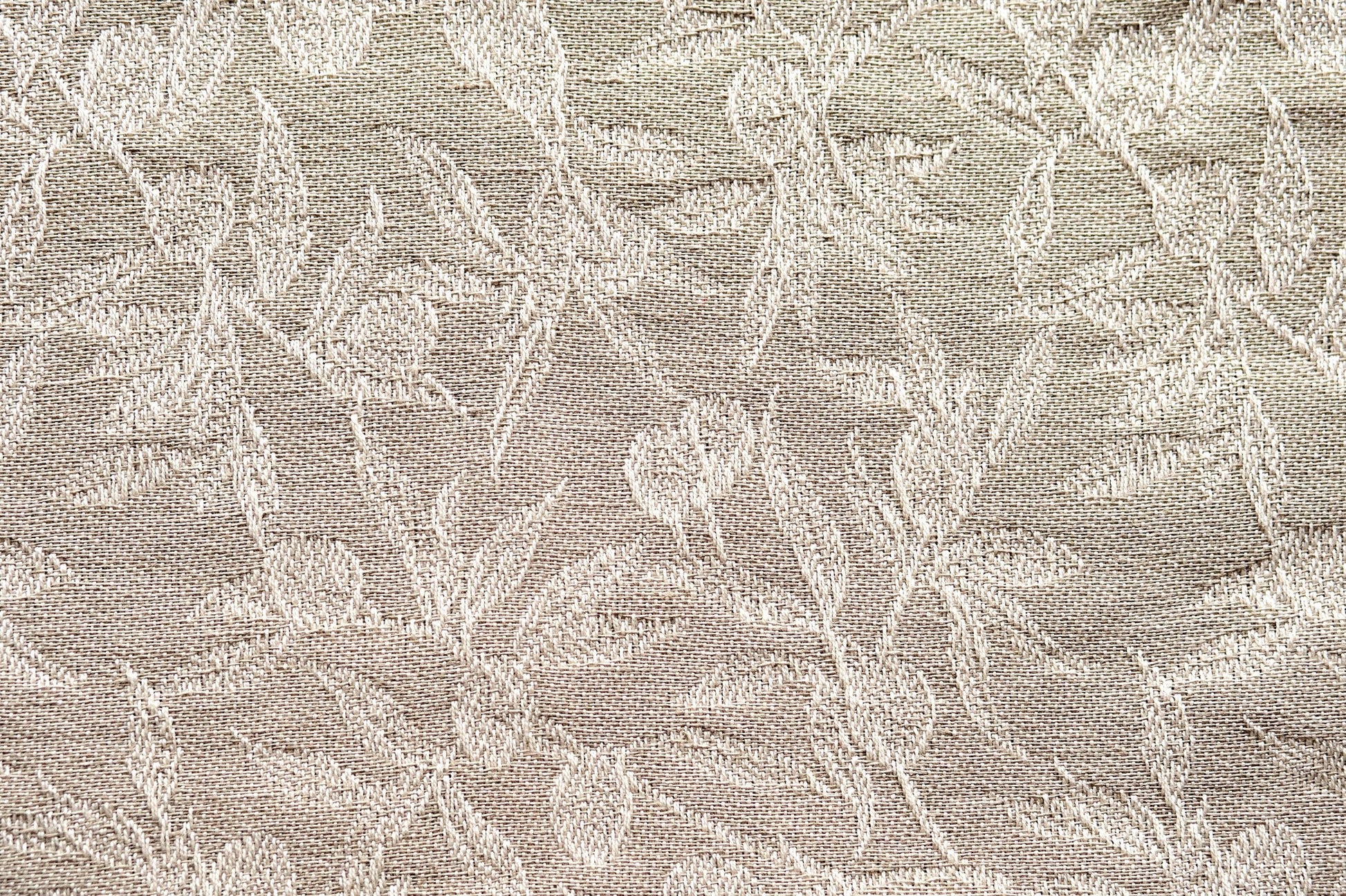 OLIVO GENTILE - FABRIC